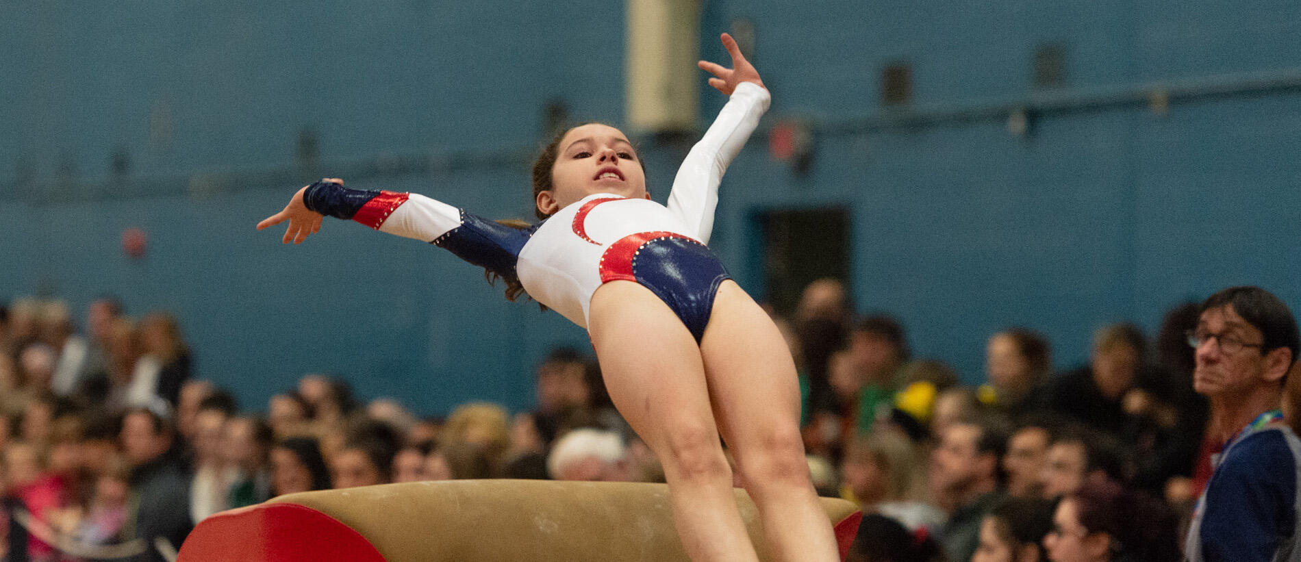 BPJEPS - Disciplines gymniques option A : « disciplines gymniques acrobatiques »