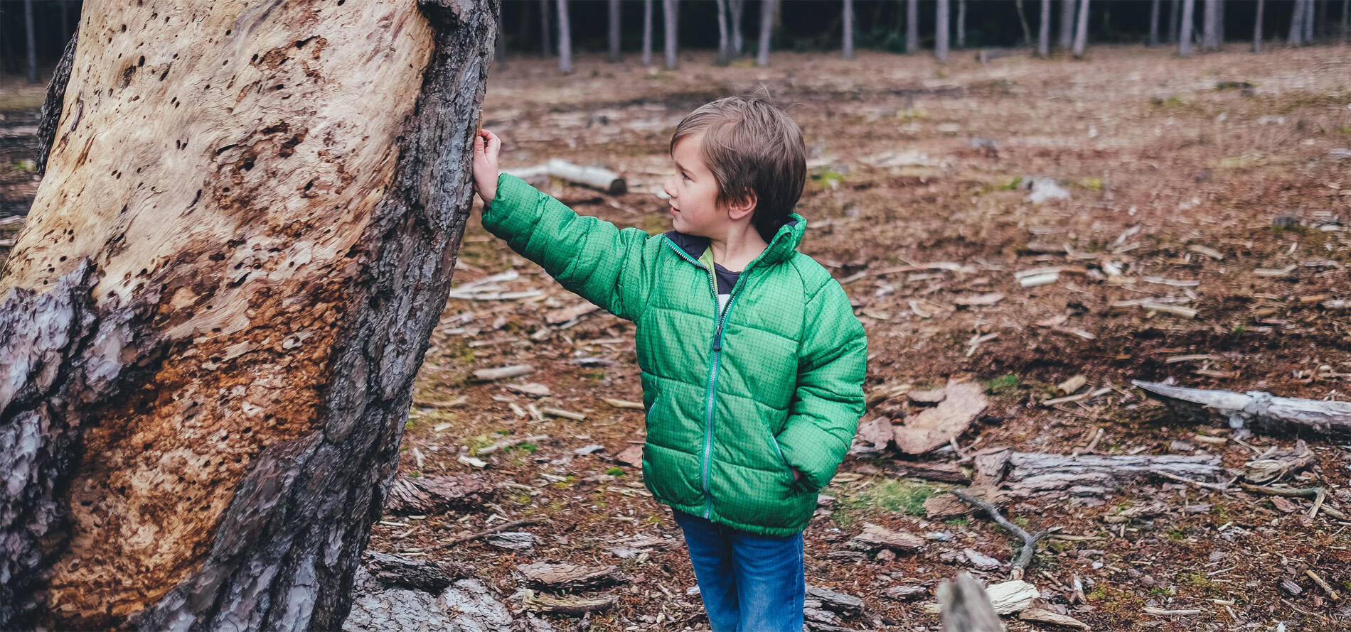 BPJEPS EEDD - Éducation à l'environnement vers un développement durable