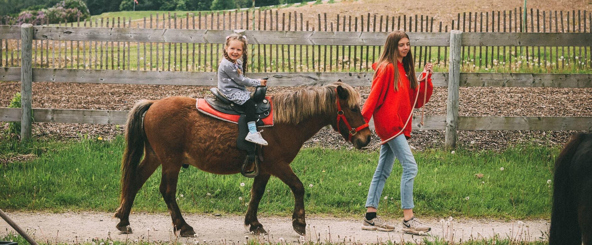 TFP Animateur d'équitation - CFA Sport Occitanie