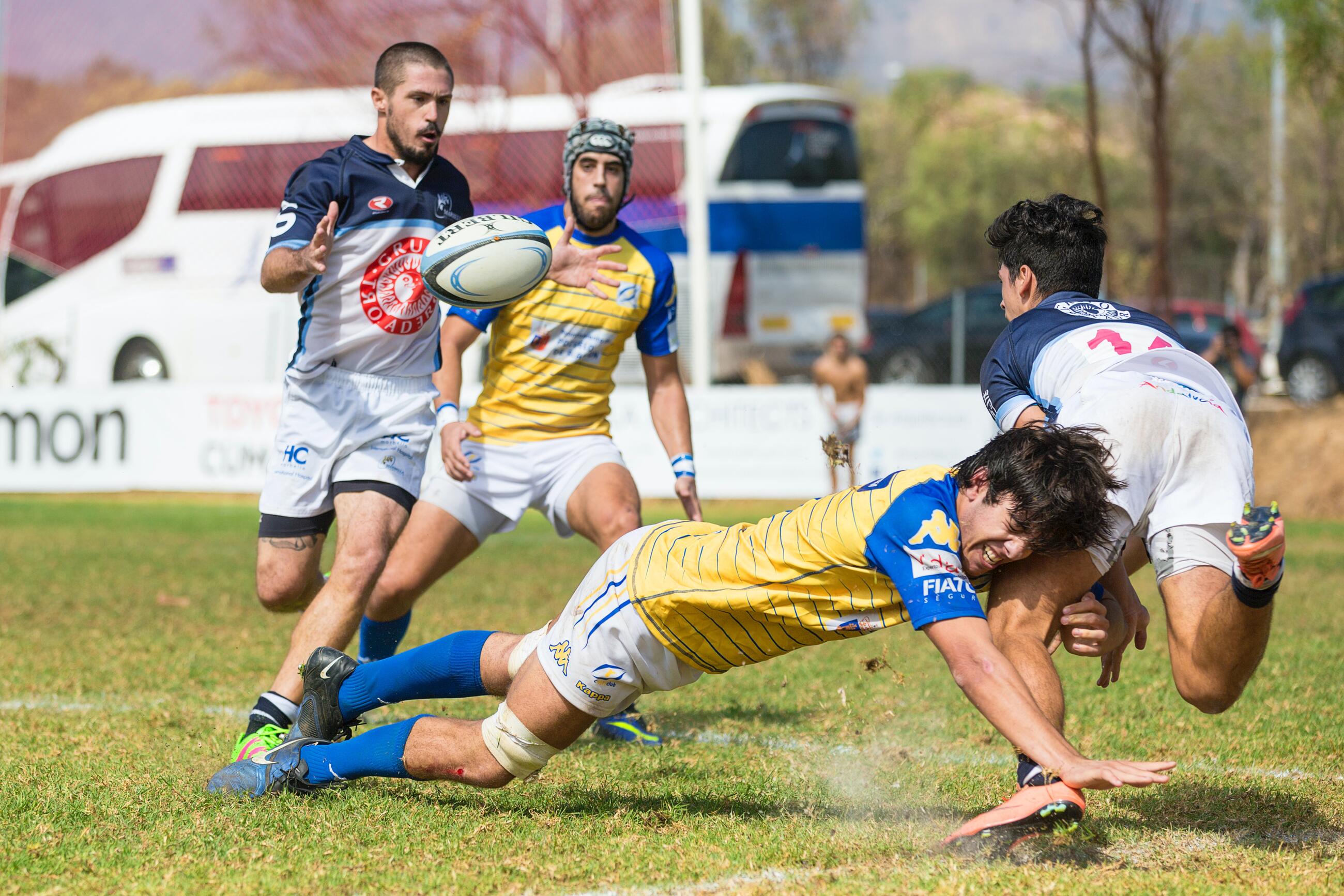 BPJEPS Rugby à XV